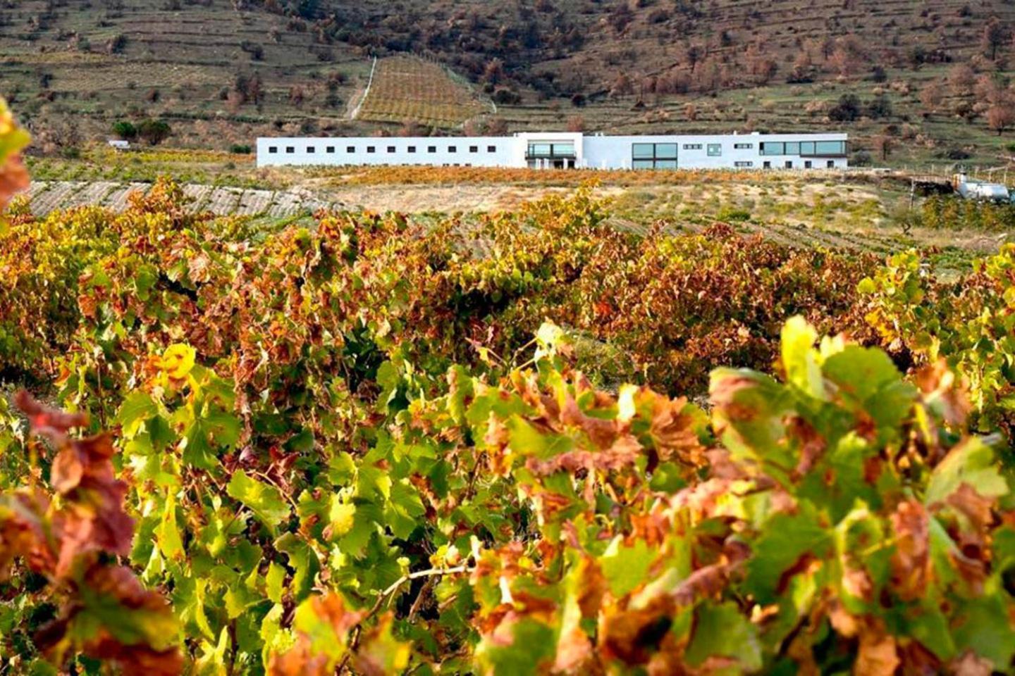 Hotel Tierras De Cebreros Bagian luar foto